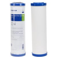 1025 CeraMetix 10 inch Fluoride Removal Ceramic Water Filter W9522650 and Pentair DFX-CB-10 Carbon and Sediment filter kit