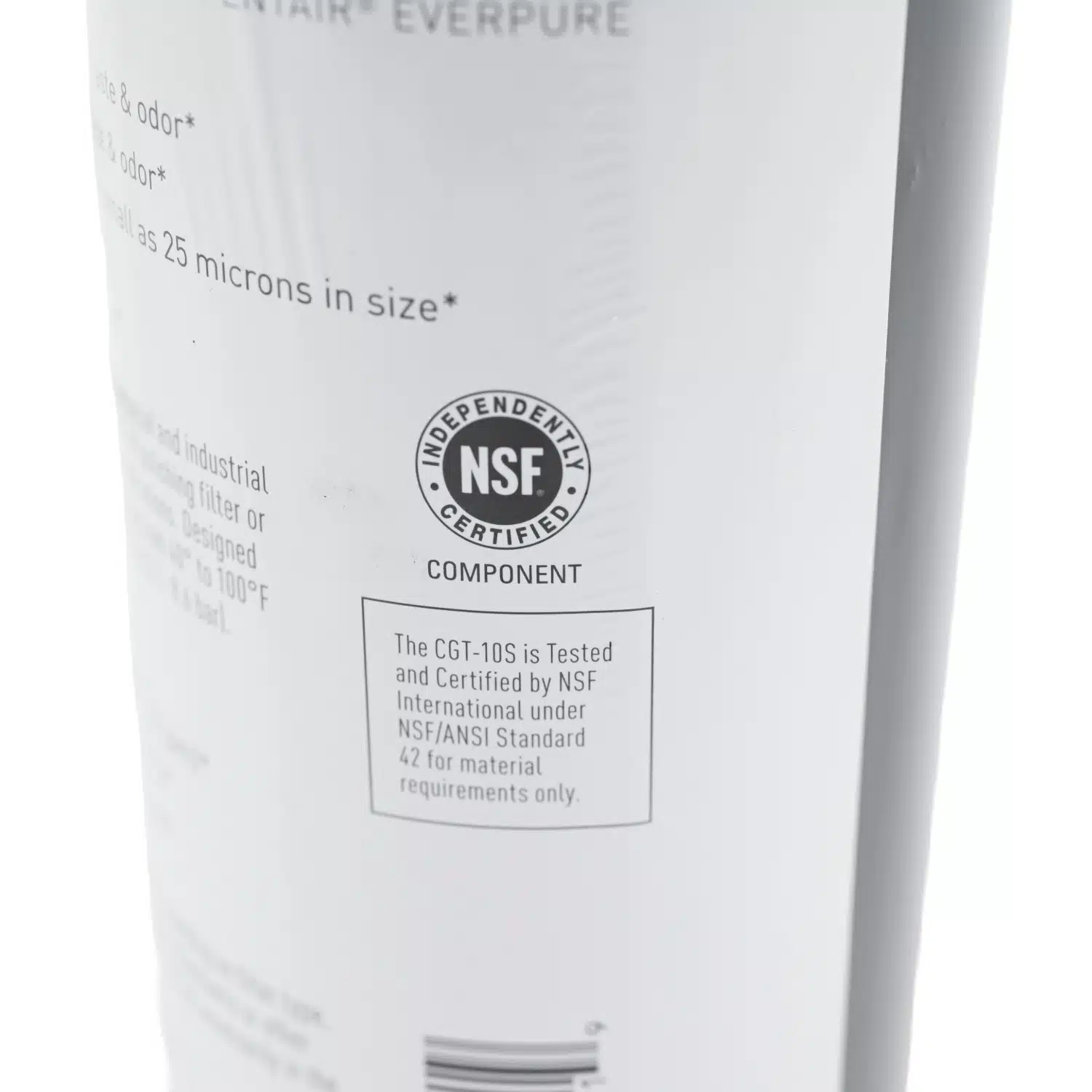 Pentair Everpure CGT-10S (EV9108-13) 10 inch x 2 point 5 inch Carbon Water Filter with Scale Protection