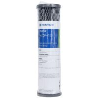 Pentek NCP-10 Pleated Carbon Filter 10 Micron DP101