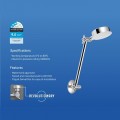 SH02SW shower head and arm